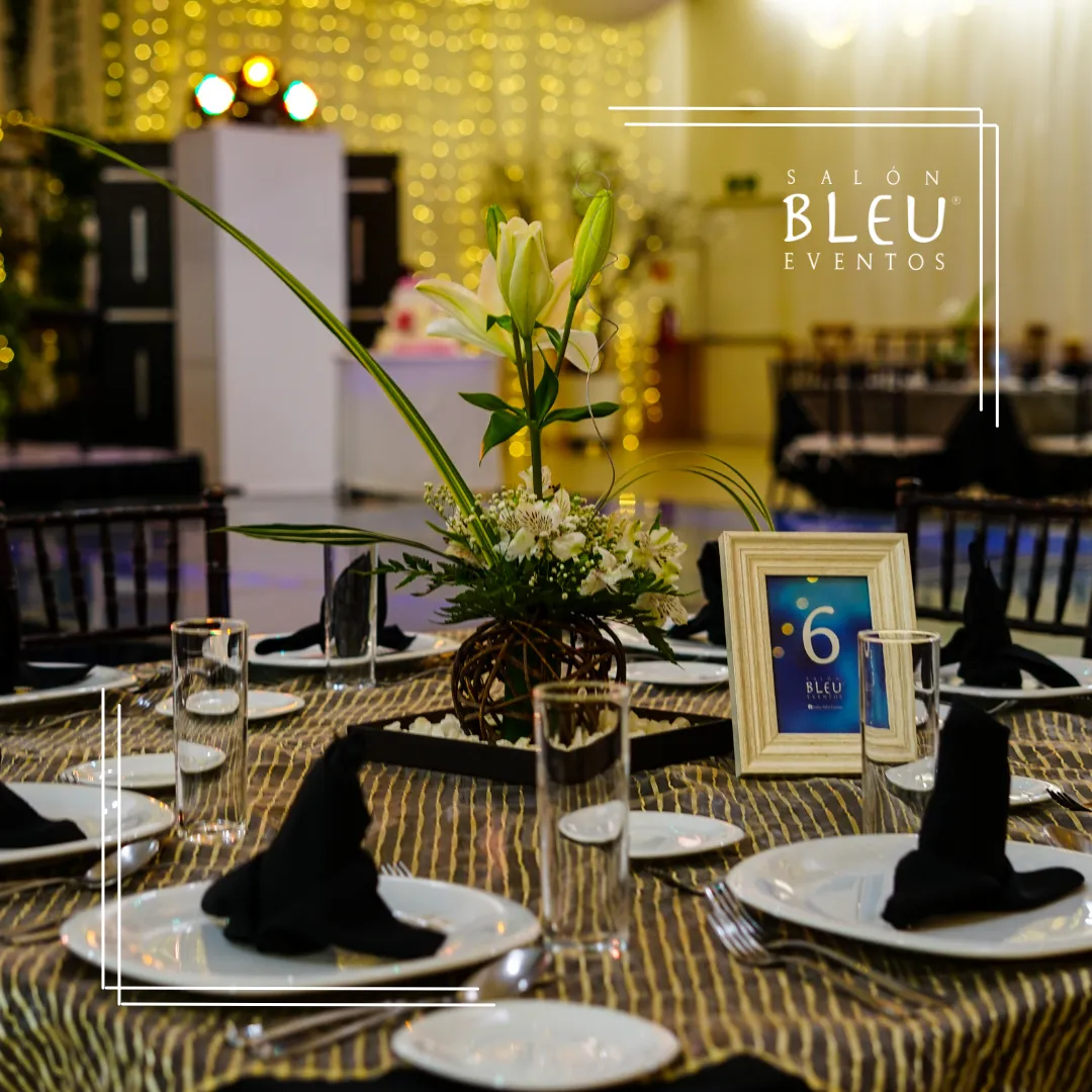 Acerca de BLEU imagen 2