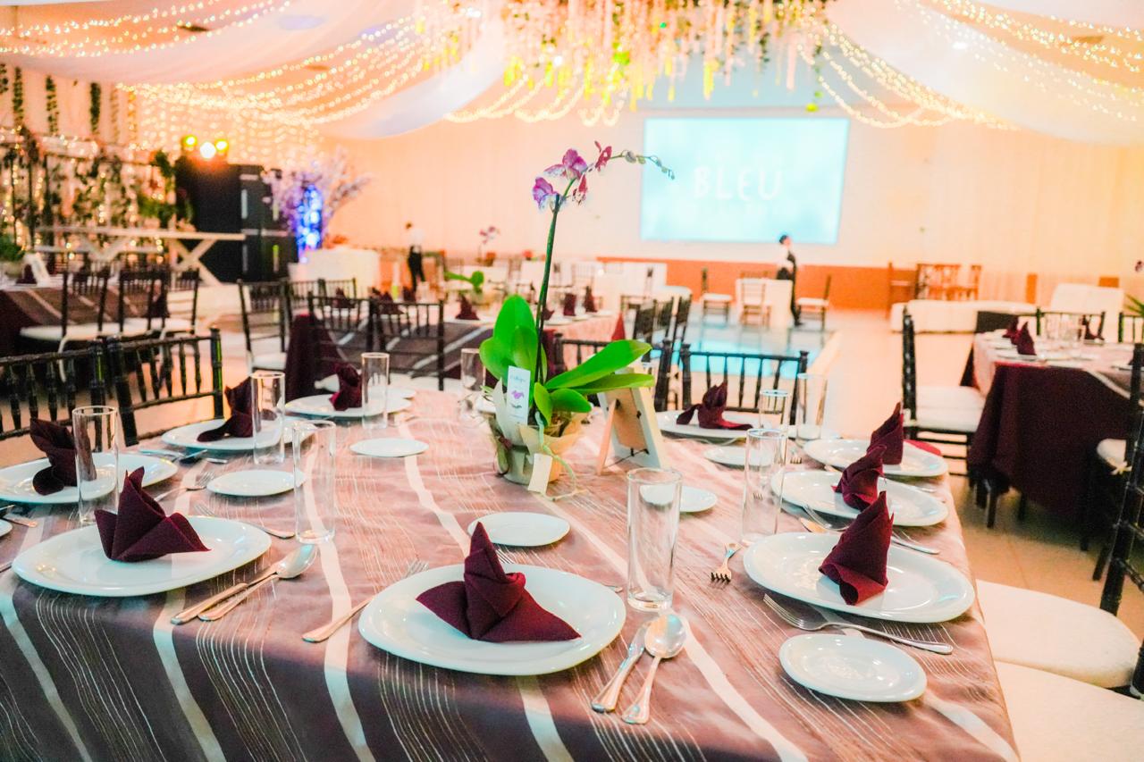 Acerca de BLEU imagen 2