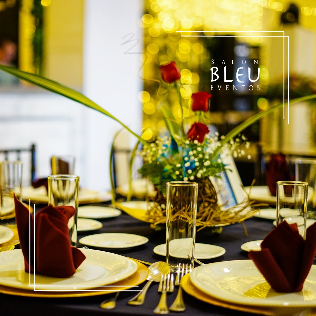 Acerca de BLEU imagen 1